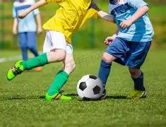 惠灵顿凤凰,轮主场对决,能否迎来防,亿万28(中国)官方网站,亿万28官网入口,亿万28官网下载,亿万28官网登录