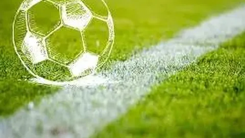 亿万28官网登录 资讯 140219 msf