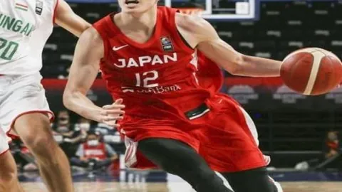 2026世界杯前瞻：佛得角神级表现，36场29胜，黑马之谜